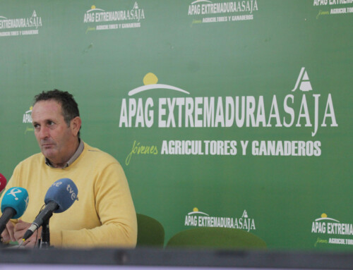 Apag Extremadura Asaja denuncia que la situación de precios de los cereales no repercute en el pienso para los ganaderos