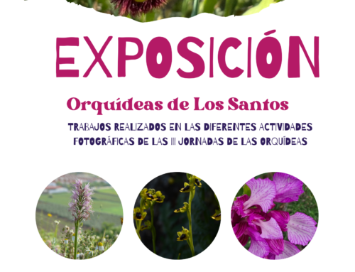 Abierta en la Casa de la Cultura de Los Santos de Maimona la exposición de las «III Jornadas de las Orquídeas»