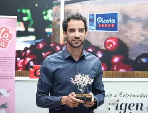 El bicampeón del mundo de marcha el llerenense Álvaro Martín recibe el Premio a la Excelencia Picota del Jerte 2024