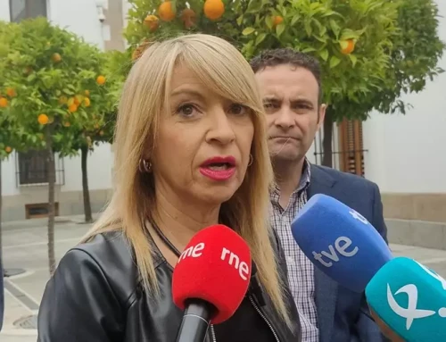 PSOE cree «necesario» una «reflexión» en la Asamblea de Extremadura donde el insulto es «parte del diario de sesiones»