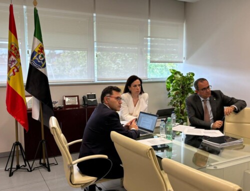 Extremadura apoya la creación de una Comisión de Atención Primaria y un grupo de trabajo sobre Listas de Espera en el CISNS