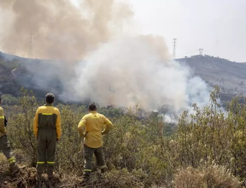 55 municipios extremeños en zonas de incendios desconocen tener planes de prevención o carecen del mismo