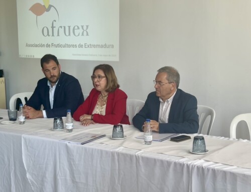 Mercedes Morán alaba en la clausura de la Asamblea General de AFRUEX la apuesta por la innovación del sector hortofrutícola
