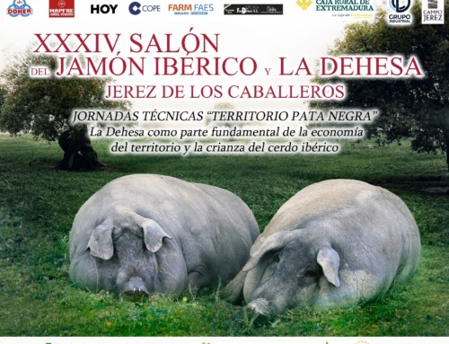 La Dehesa, fundamental para la economía y la crianza del cerdo ibérico en Extremadura