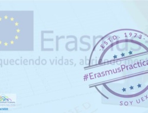 Educación destina 500.000 euros en ayudas para que el alumnado universitario pueda realizar estudios dentro del Programa de Movilidad Erasmus+