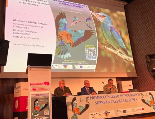 La Junta de Extremadura participa en el I Congreso Ornitológico de la Carraca Europea