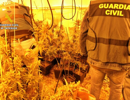 La Guardia Civil desmantela dos plantaciones de marihuana en una vivienda de Alange