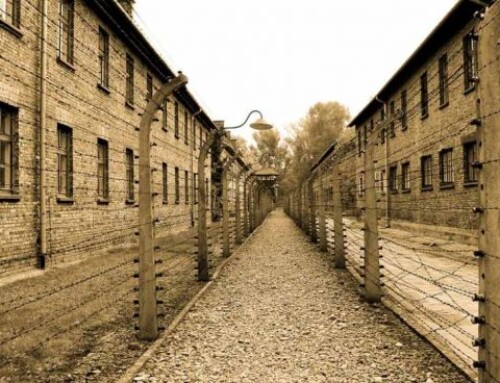 Los deportados extremeños en campos de concentración nazis recibirán un homenaje en un acto en Cáceres este miércoles 8 de mayo