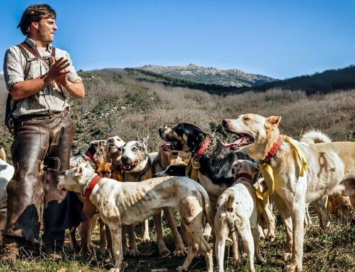 Asociaciones Animalistas lanzan una campaña contra la declaración de la rehala y la montería como BIC en Extremadura y Andalucía