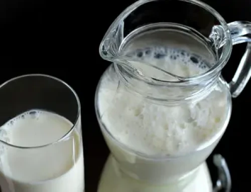 La OMS alerta de los posibles riesgos de sustituir la leche por bebidas vegetales