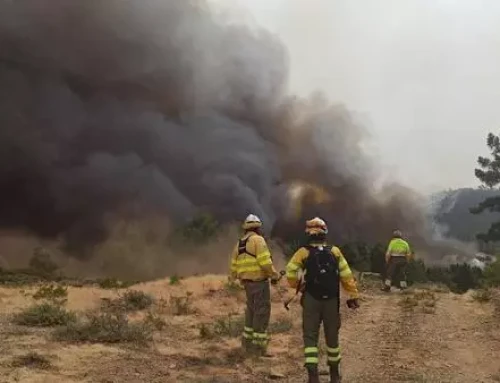 El INFOEX interviene en 18 incendios forestales durante la última semana