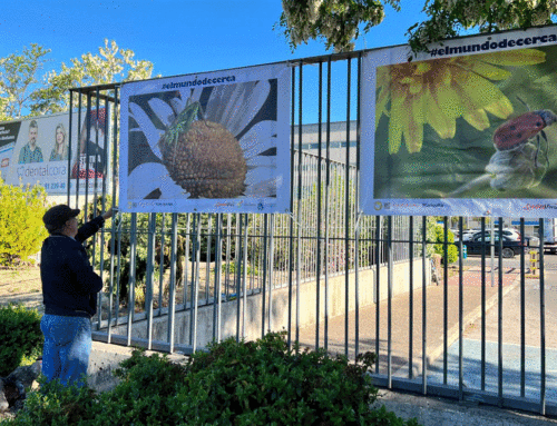 El Mundo de Cerca»: La Exposición Fotográfica de Afopaz Llega a Ribera del Fresno