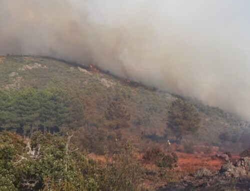 Ecologistas en Acción piden Piden actuaciones urgentes tras el fuego de Puebla del Maestre.