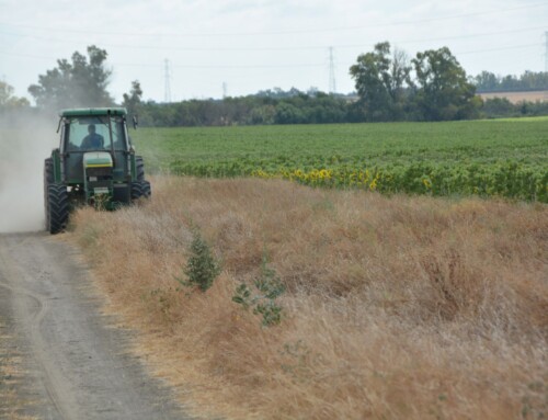 Agricultores y ganaderos españoles y portugueses piden retribución por reducir la huella de carbono