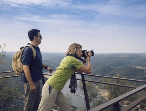 Más de 40 actividades conforman la programación del Mes de la Reserva de la Biosfera en Monfragüe y Tajo Internacional