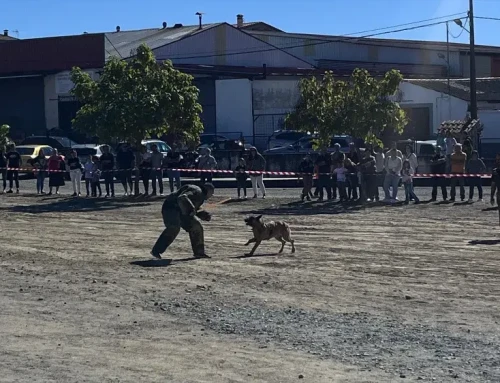 Más de 200 canes de razas distintas se han dado cita en la Feria Nacional del Perro y la Caza de Ahigal