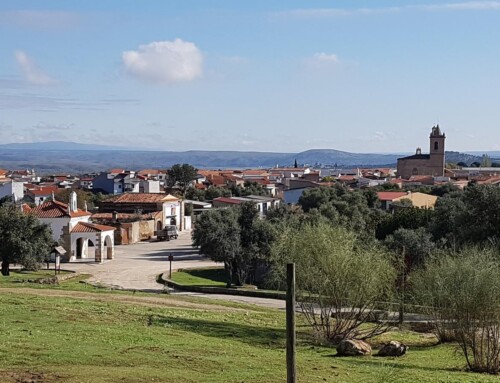 La Junta de Extremadura mejora el Camino Brozas-Garrovillas, en el término municipal de Navas del Madroño