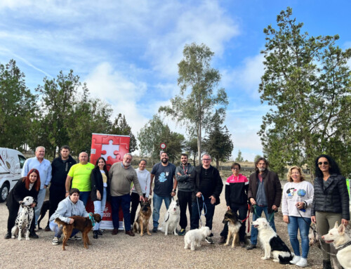 Clausurado el Curso de Técnicas de Adiestramiento de Base aplicadas a perros en Berlanga