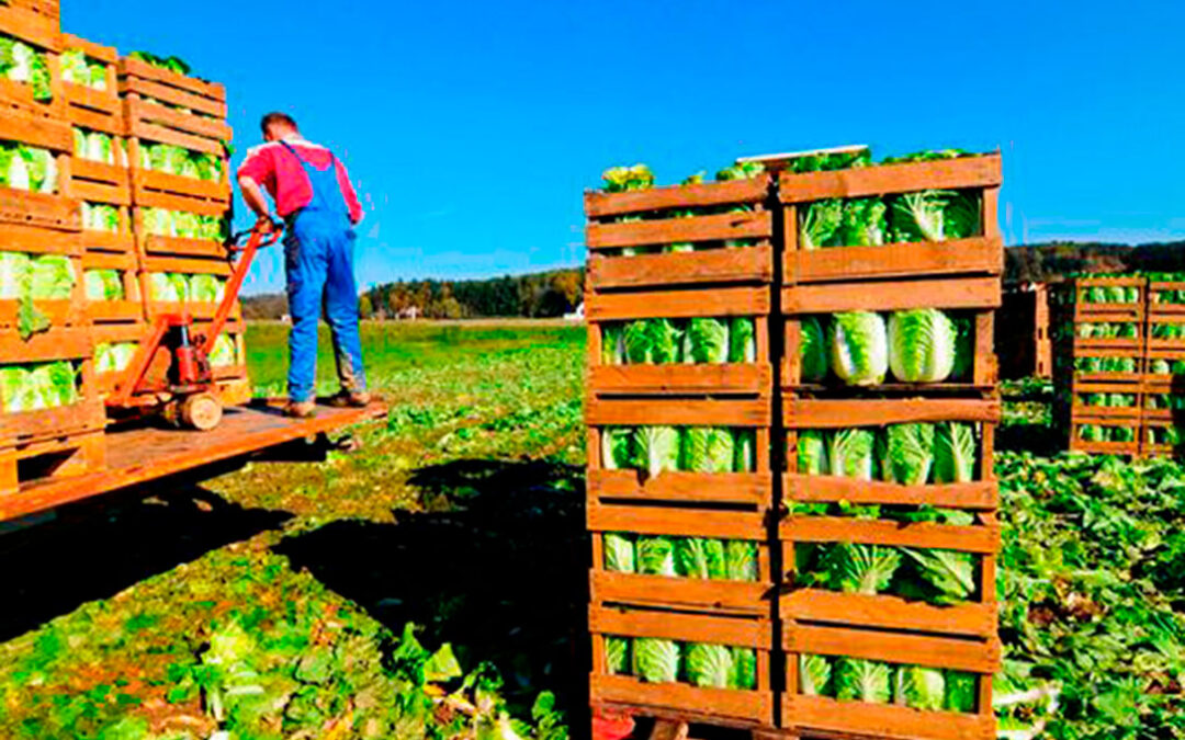 Unión de Uniones : Compensación a los agricultores por la rebaja del IVA de los alimentos: «Esperamos que esto no se quede sólo en un anuncio y se materialice»