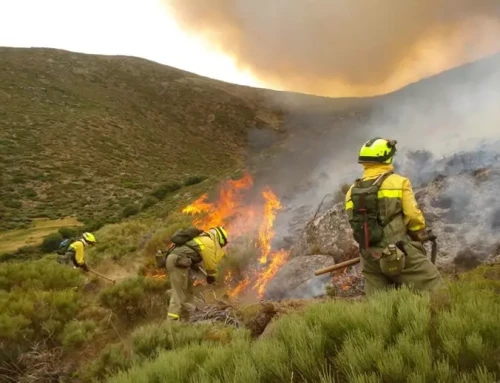 La campaña de peligro alto de incendios de este año se salda en Extremadura con 426 fuegos y 9.382 hectáreas afectadas