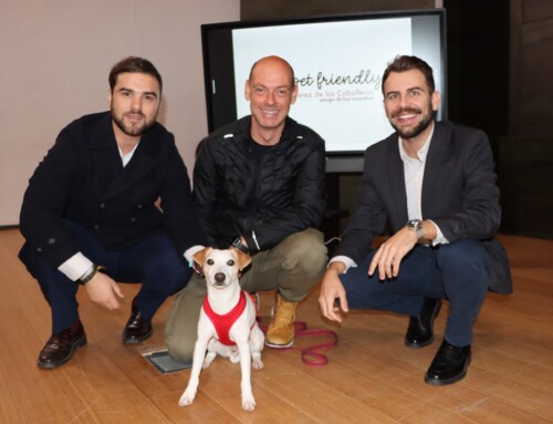 Jerez de los Caballeros se convertirá en ciudad amiga de las mascotas con un interesante proyecto turístico