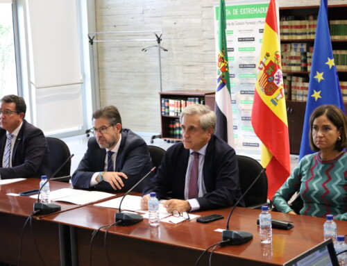 El Comité de Dirección del INFOEX resalta el aumento de concienciación ciudadana y el trabajo de los efectivos de extinción en el balance de la temporada de incendios de 2024