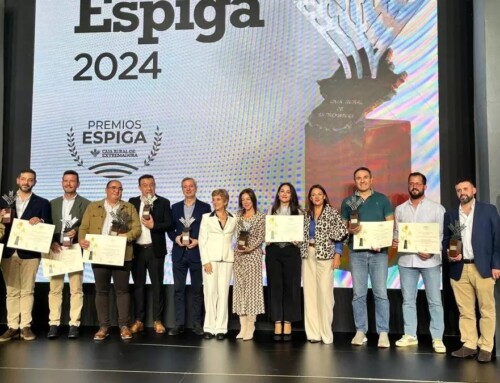 El Extreme de Bonaval de Bodegas López Morenas de Fuente del Maestre  es elegido como el mejor cava en los IX Premios Espiga