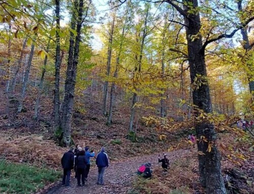 El ‘Otoño Mágico’ del Valle del Ambroz estrena su título de interés internacional con más de 70 actividades