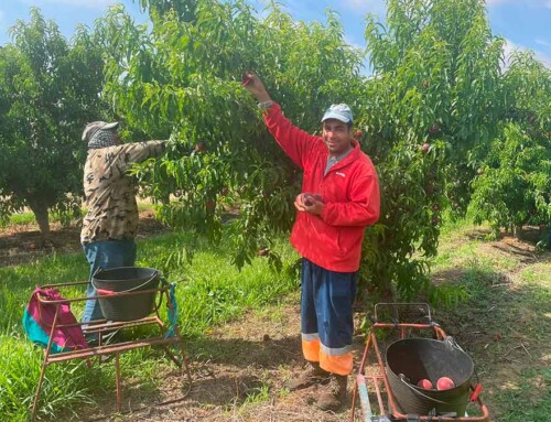 Unidas por Extremadura exige mejores condiciones laborales para los trabajadores