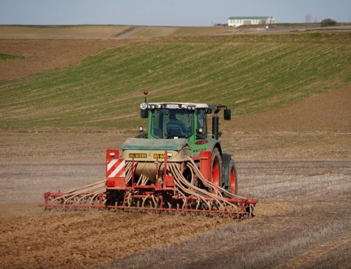 Los agricultores y ganaderos de Extremadura perciben 216,1 millones de euros en pagos anticipados de las ayudas directas de la PAC