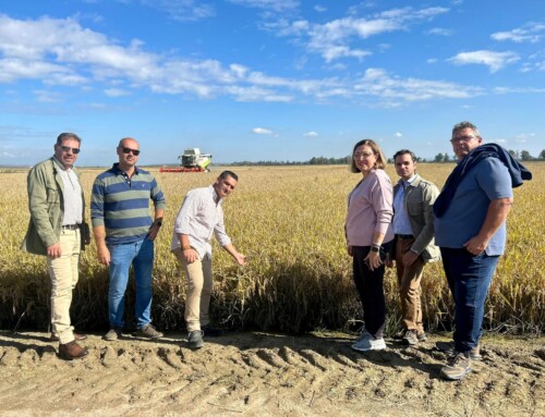 Mercedes Morán visita una plantación arrocera para abordar sobre el terreno las necesidades del sector