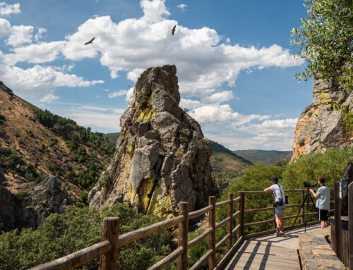 Monfragüe tendrá más cortafuegos, puntos de agua y accesos para reducir los tiempos de respuesta ante incendios