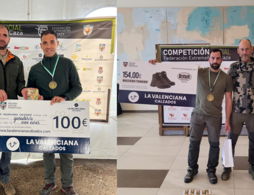 Celebradas las fases provinciales del Campeonato de Extremadura de Caza Menor con Perro