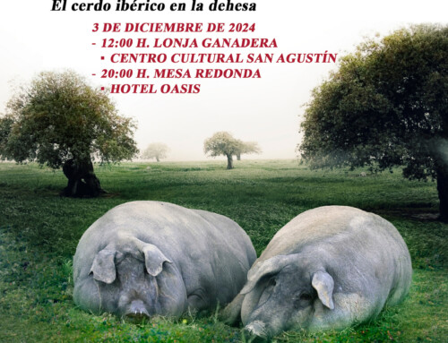 La dehesa y el cerdo ibérico, a debate en Jerez de los Caballeros