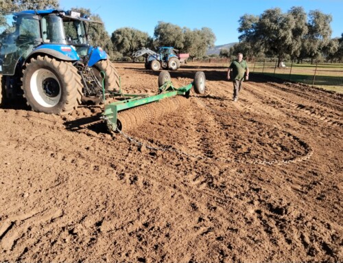 CICYTEX implementa buenas prácticas de gestión de pastos en fincas piloto de Monfragüe y Sierra de San Pedro para medir su impacto económico y ambiental