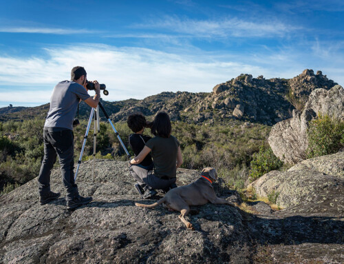 La Junta de Extremadura trabaja para atraer más turistas de Países Bajos interesados en las aves y la naturaleza