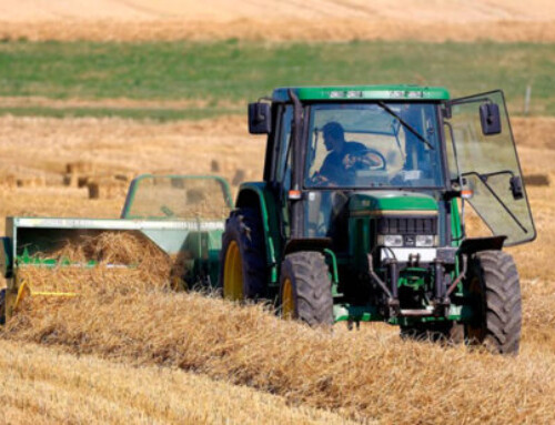 43 medidas del Gobierno: Avances con una línea de reafianzamiento de 50 millones para jóvenes y agricultores a título principal