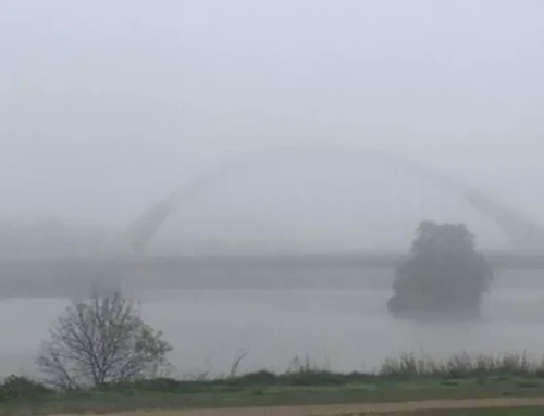 La comarca de Vegas del Guadiana permanecerá este lunes en aviso amarillo por niebla