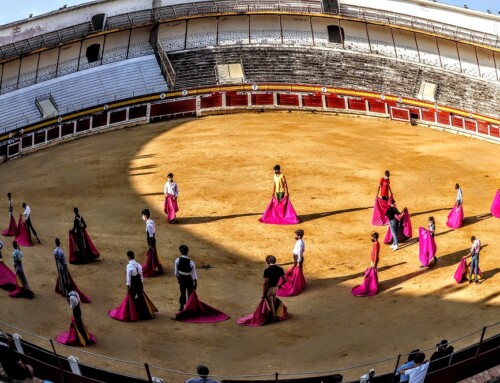 Abierto el plazo de inscripciones para el curso 2025 en la Escuela de Tauromaquia