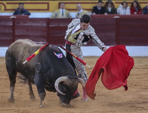 Morante de la Puebla reaparecerá en la feria de Olivenza