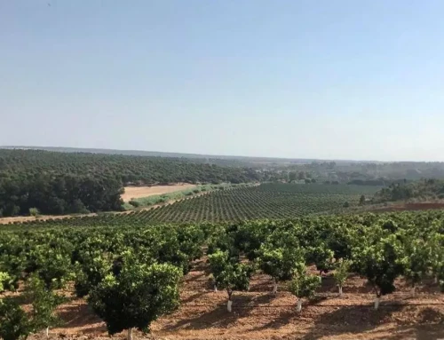 La Junta plantea otro convenio a los regantes de Tierra de Barros tras perder un tercio de la superficie por renuncias