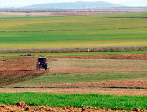 Los pagos de las ayudas directas de la Política Agraria Común de la campaña 2024 alcanzan los 3.665 millones de euros