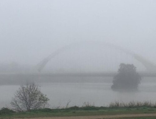 Las comarcas de Vegas del Guadiana, Barros y la Serena mantienen activa este domingo la alerta amarilla por niebla