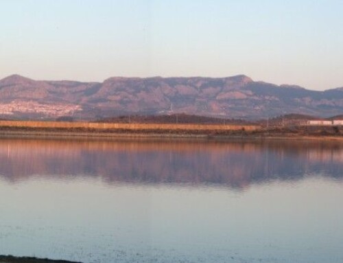 Los embalses del Guadiana están al 41,3% de su capacidad y los del Tajo al 54,3%