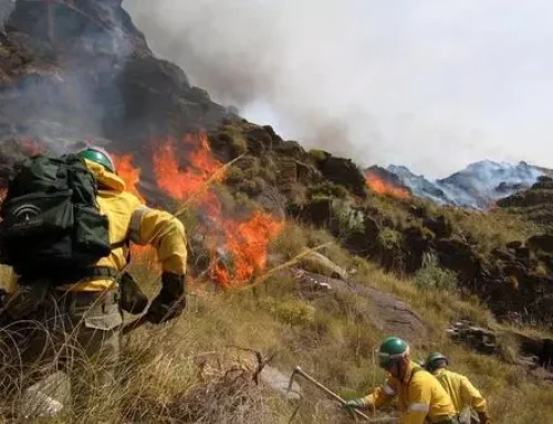 El DOE publica la convocatoria de pruebas para dos categorías de bomberos forestales