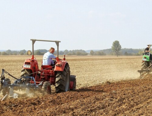 El suelo agrario se ha incrementado en Extremadura 480 euros por hectárea durante el último trienio