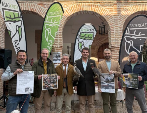 Llerena, epicentro de la cetrería en España con la celebración del Campeonato Nacional 2025 este fin de semana