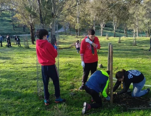 El proyecto ‘Plantabosques’ de Adenex se celebrará en seis fines de semana y cinco jornadas escolares durante 2025