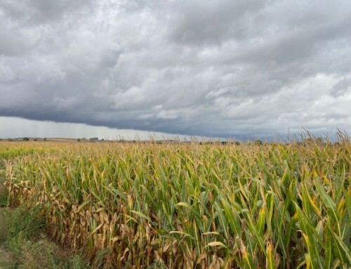 Extremadura pide a Planas una revisión integral del sistema de seguros agrarios