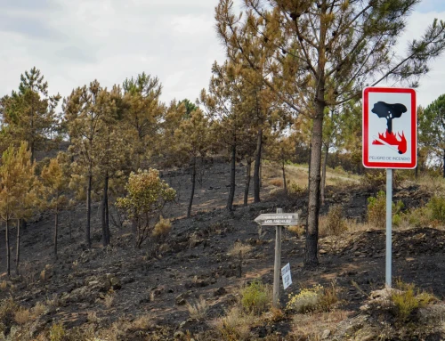 Sensores de bajo coste para la detección precoz de incendios forestales